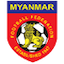 team logo