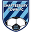 Shaftesbury Town