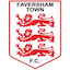 team logo