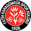 team logo