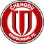 team logo